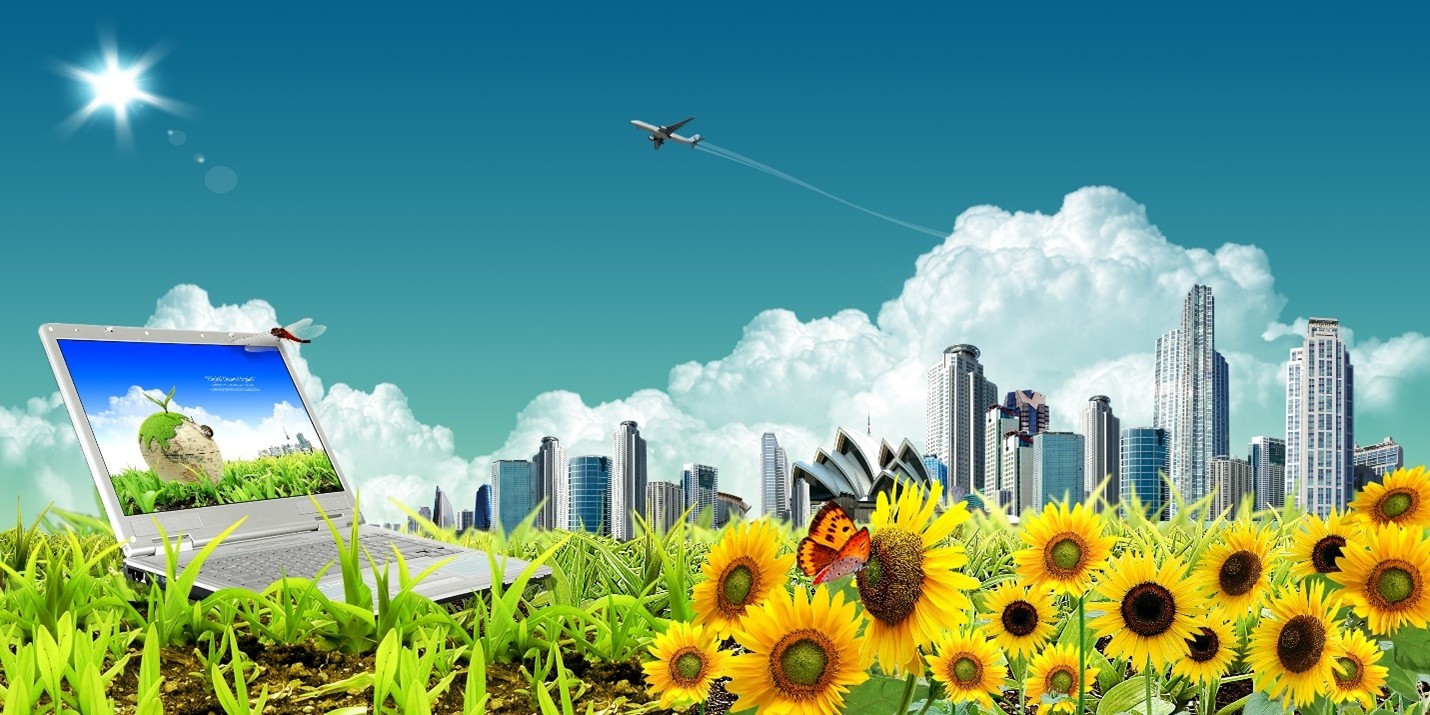 Sunflower Future
