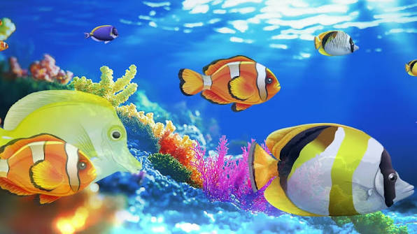 Aquarium Dream